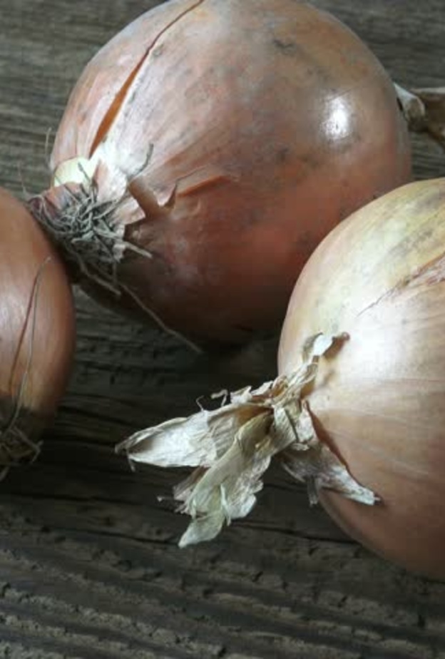البصل المتعفن يمكن أن يسبب الوفاة
