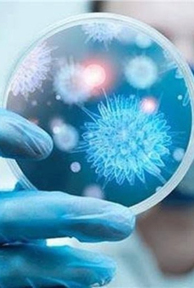 فيروس كورونا الجديد