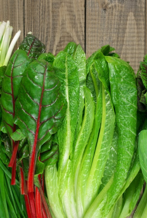 معلومات عن فوائد الخضروات الورقية 