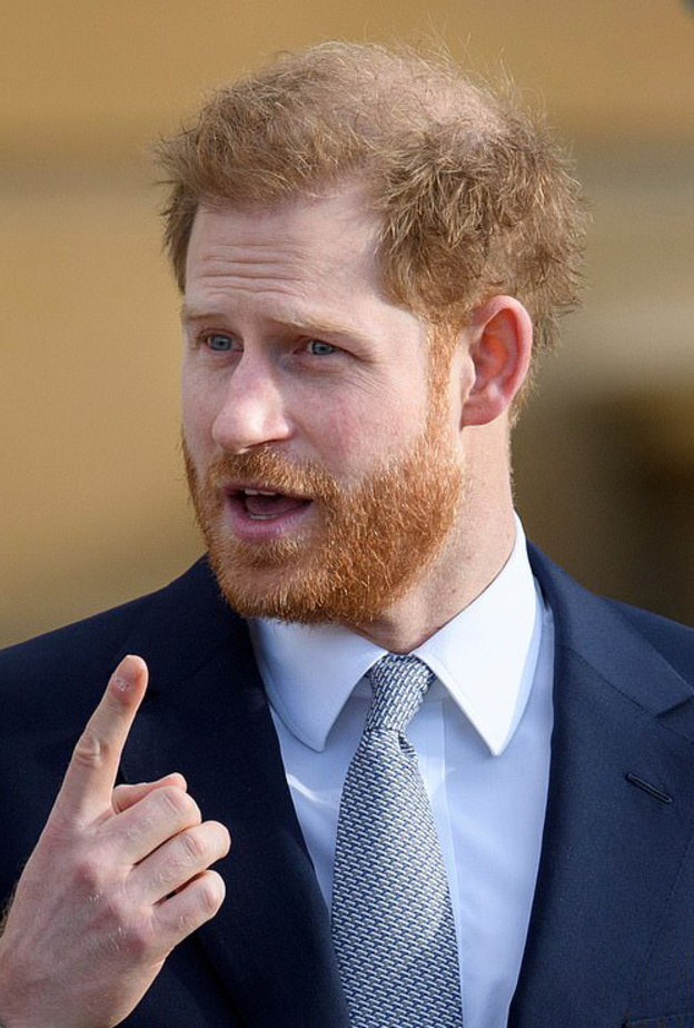  الأمير هاري 