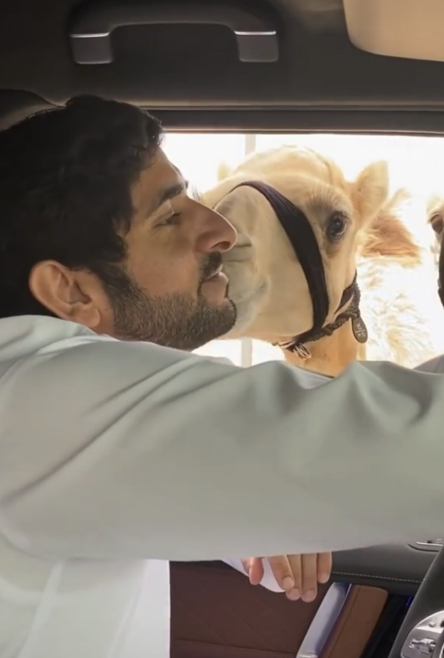 فزاع عاشق الحياة البرية يتلقى قبلة محبة من "إعمار"