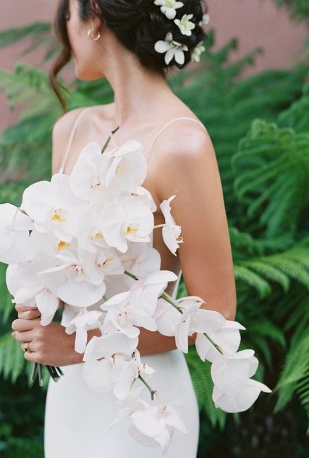 مسكات عروس ناعمه بازهار الاوركيدا الملونة