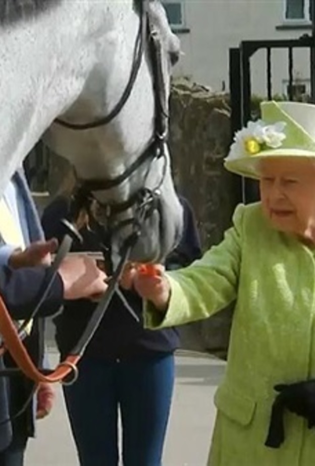الملكة إليزابيث الثانية تطعم حصان في سومرست بغرب إنجلترا