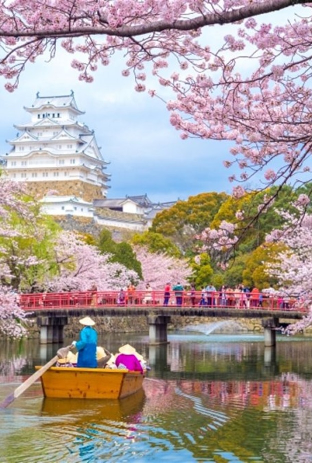 تعرف الى تفاصيل موسم ازهار الكرز