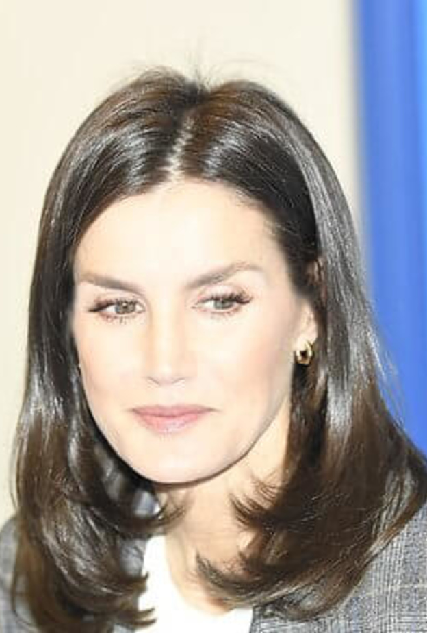 الملكة ليتيزيا في اجتماع عمل مع اليونيسيف