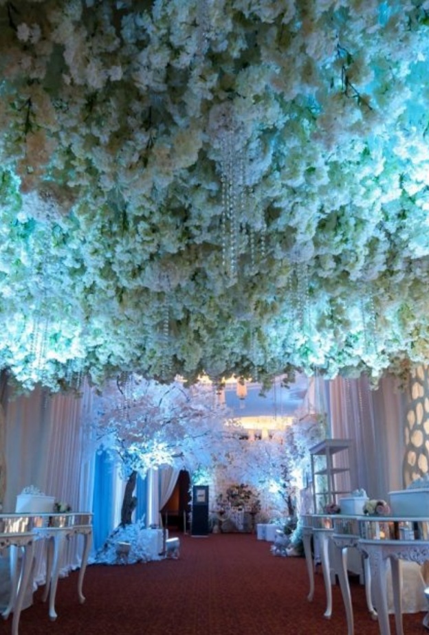  إضاءة مميزة باللون التركوازي