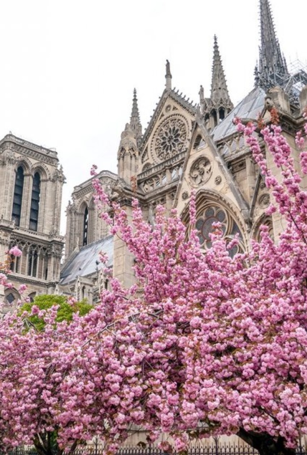 الربيع في باريس.. بين افضل وجهات سياحية اوروبية