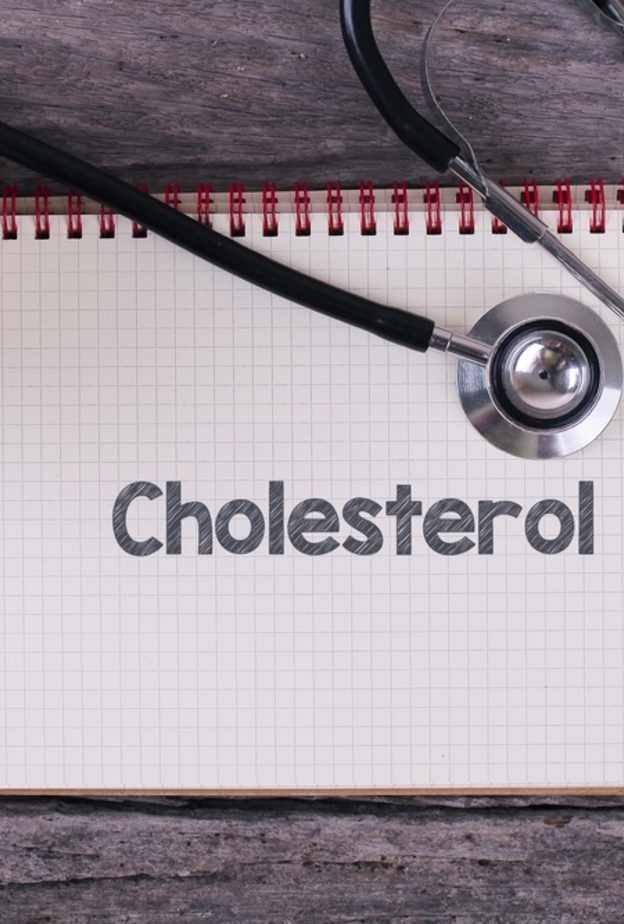 لماذا يحتاج الجسم الى الكوليسترول