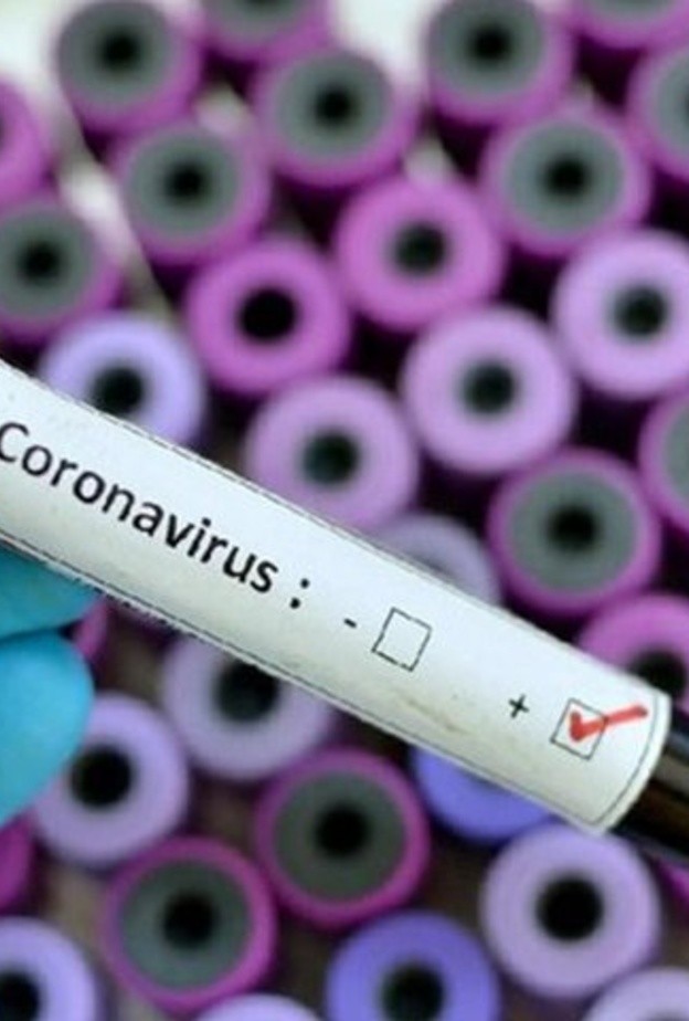 فيروس كورونا