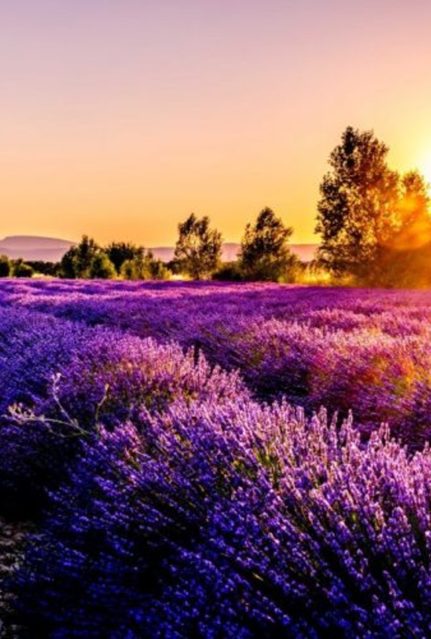 اجازة الربيع.. اليكم ابرز نصائح السفر