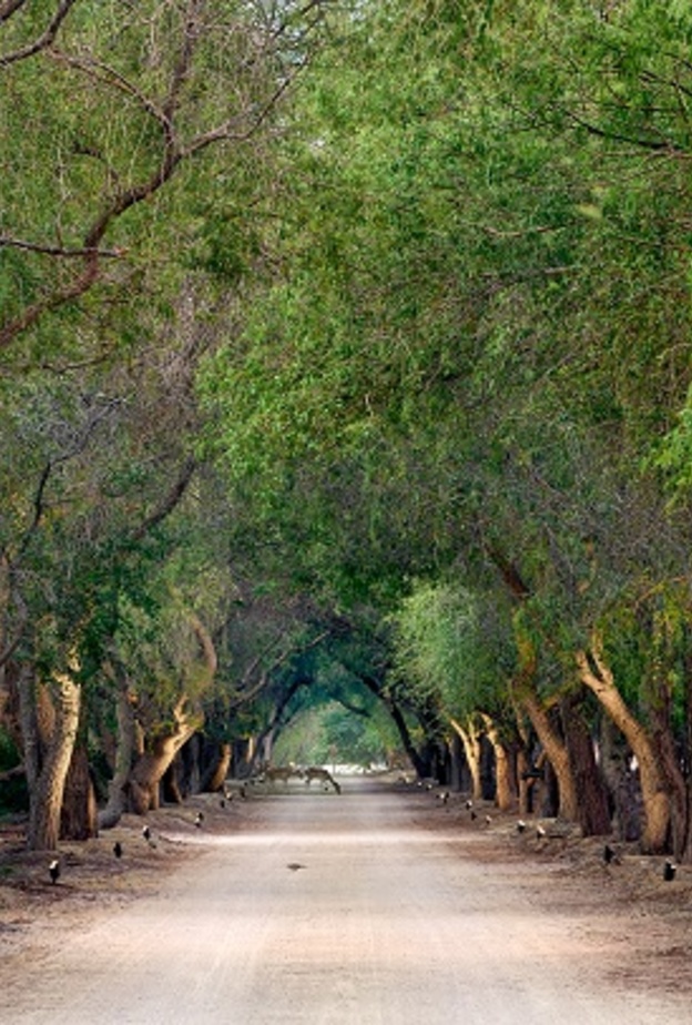 "الجرف" وجهة ساحلية مستوحاة من التراث الإماراتي العريق