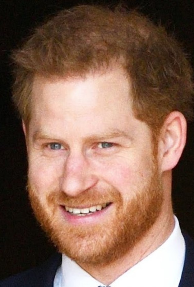 الأمير هاري تأخر لإنهاء ارتباطات واجتماعات أخيرة
