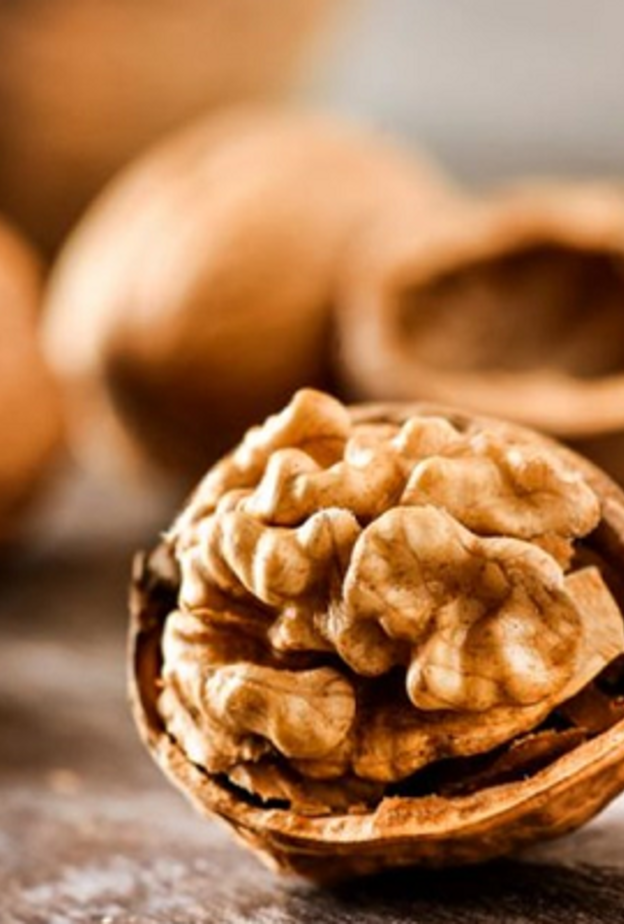 الجوز يعزز صحة الدماغ وهو يشبهه في الشكل