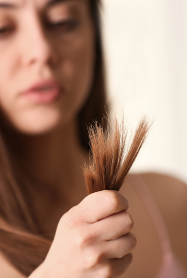 زيت الزيتون الفاتر هو من اهم الوصفات الطبيعية لعلاج تقصيف الشعر.