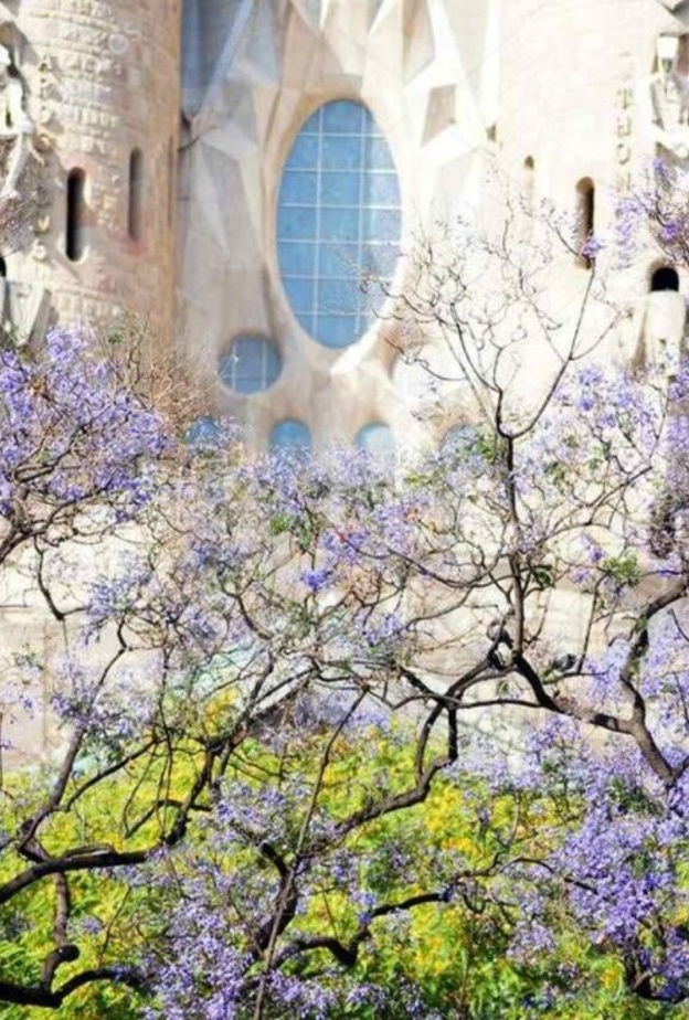  اجمل انشطة سياحية في برشلونة في الربيع