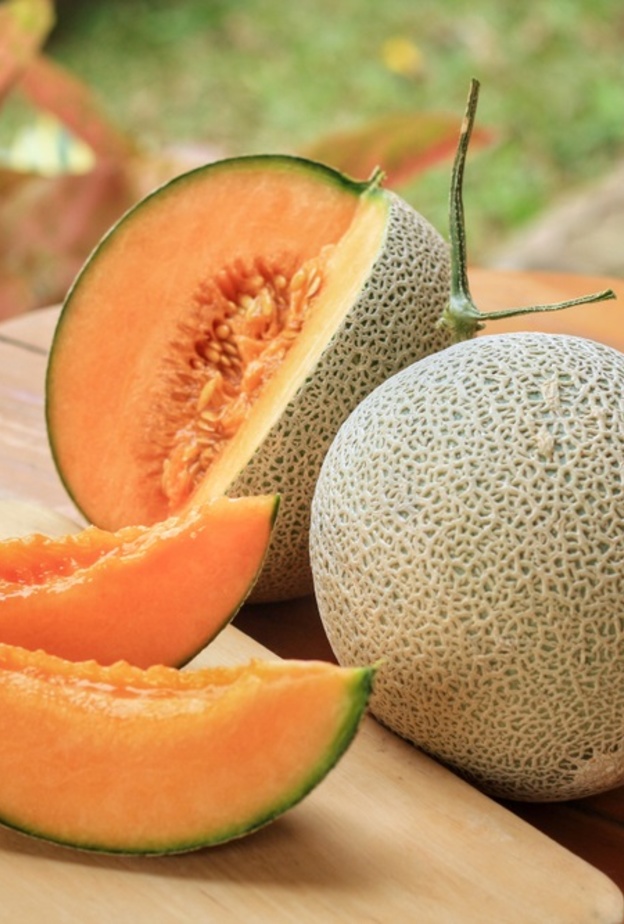 اهم فوائد الشمام الصحية و العلاجية