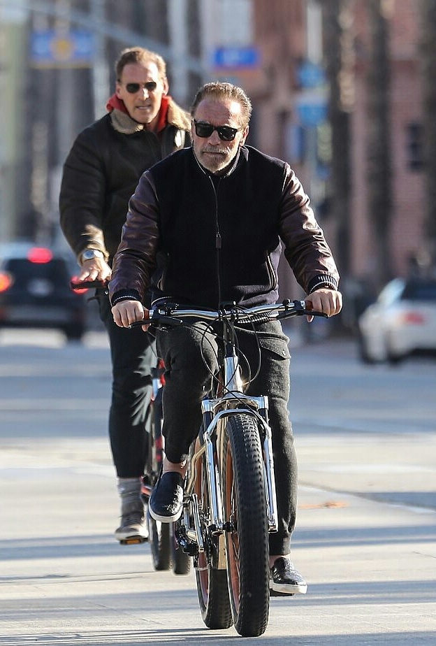 أرنولد شوارزينجر 