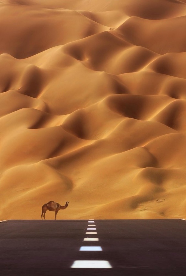 أجمل الصور والمناظر الطبيعية للصحراء من حول العالم 