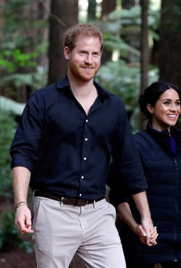مستقبل الأمير هاري وميغان ماركل بين سؤال وجواب