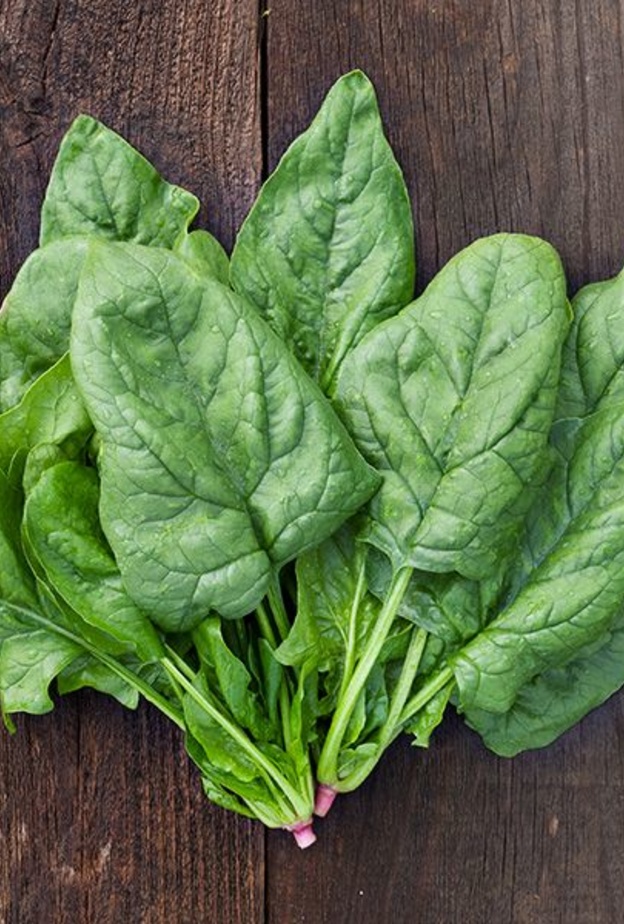  السبانخ يعزز مناعة الجسم