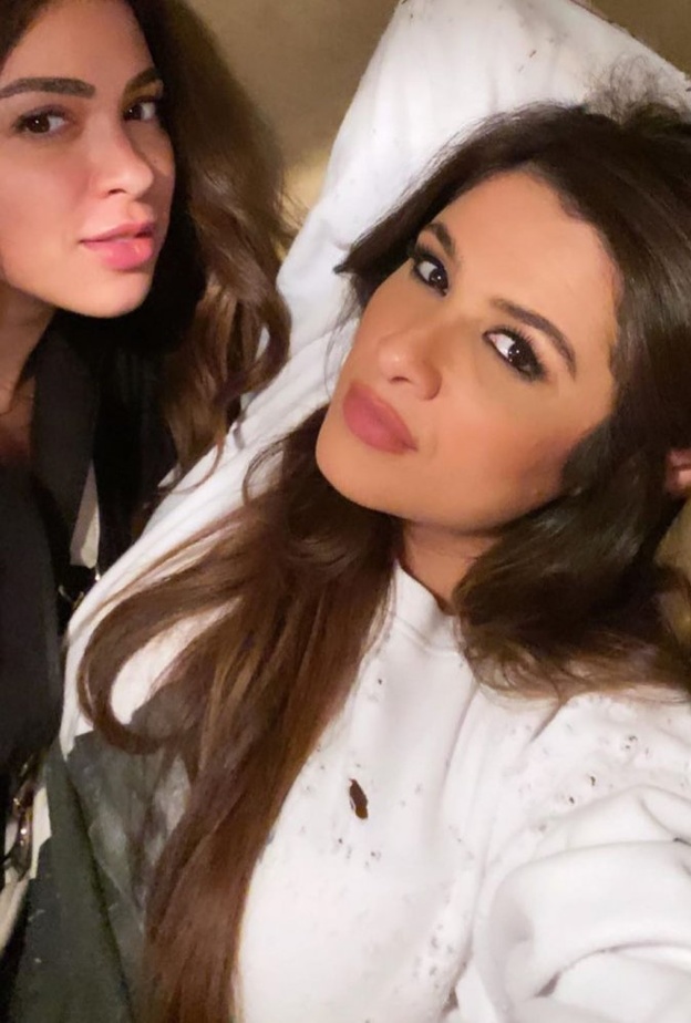 ياسمين عبد العزيز 