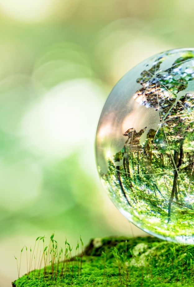 تعافي طبقة الاوزون والأرض من إيجابيات فيروس كورونا