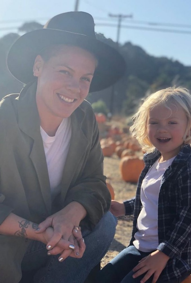 المطربة الامريكية "بينك"