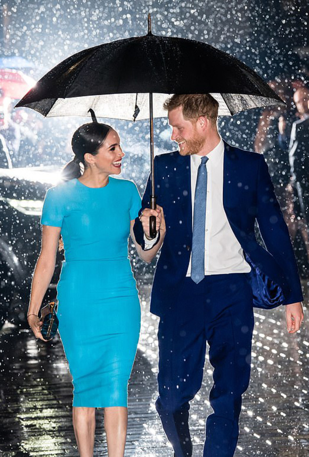 الأمير هاري وزوجته انتهيا من تسجيل علامتهما التجارية رسميا