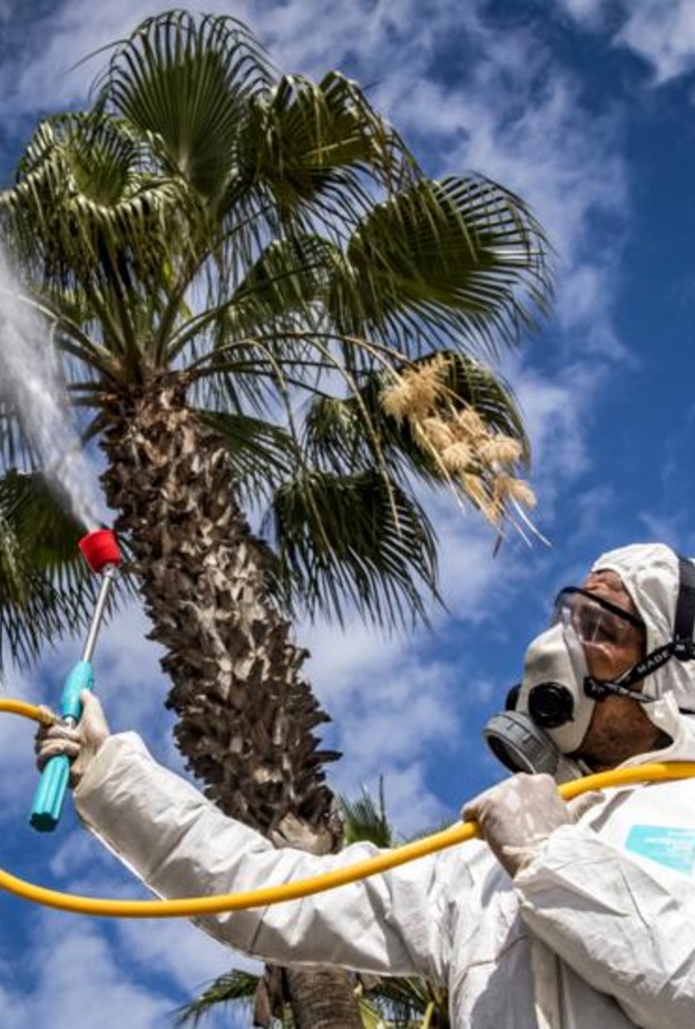 التغيرات في الطقس تؤثر على انتشار كورونا