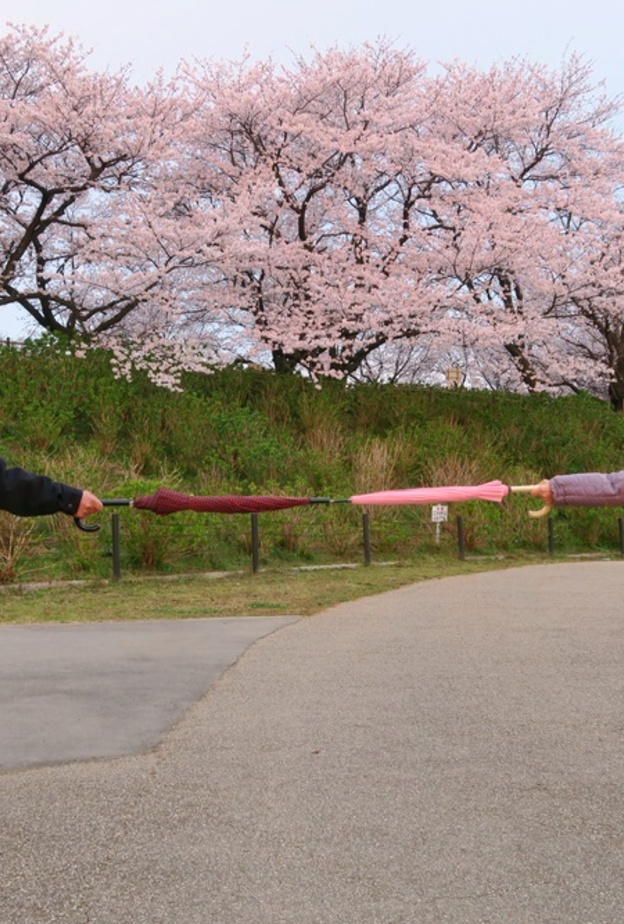 التباعد الاجتماعي مهم للوقاية من انتشار فيروس كورونا