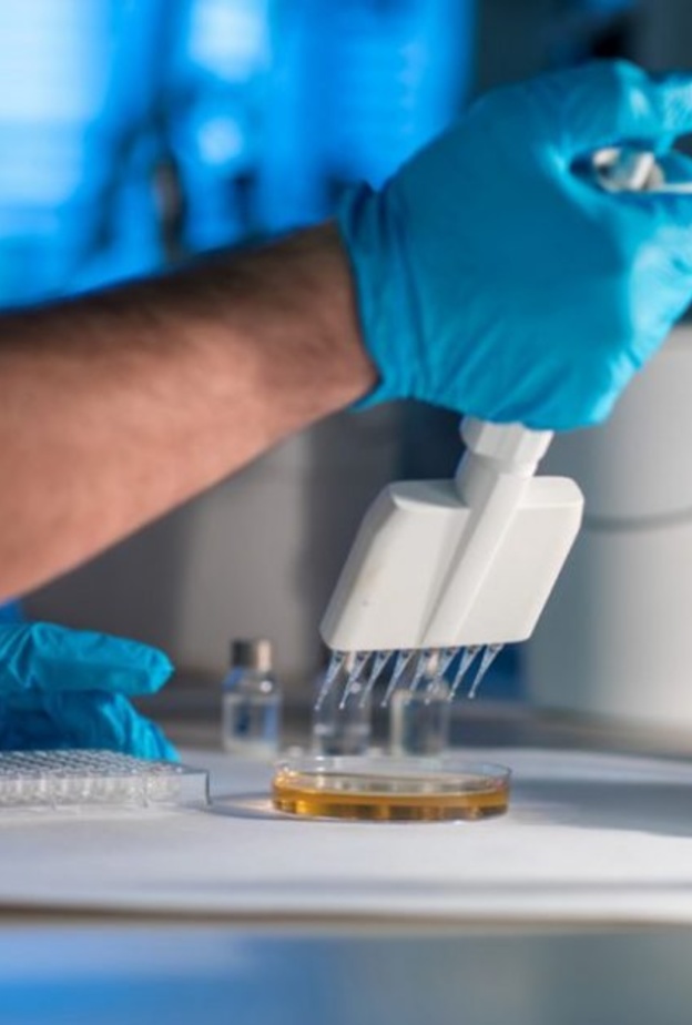 دول العالم تسعى للوصول إلى علاج لفيروس كورونا