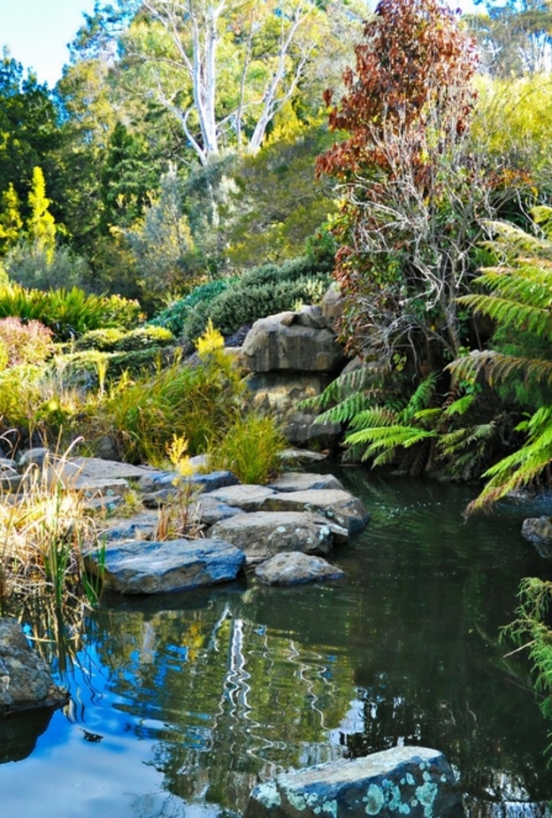  الحدائق النباتية الوطنية الأسترالية Australian National Botanic Gardens، كانبيرا