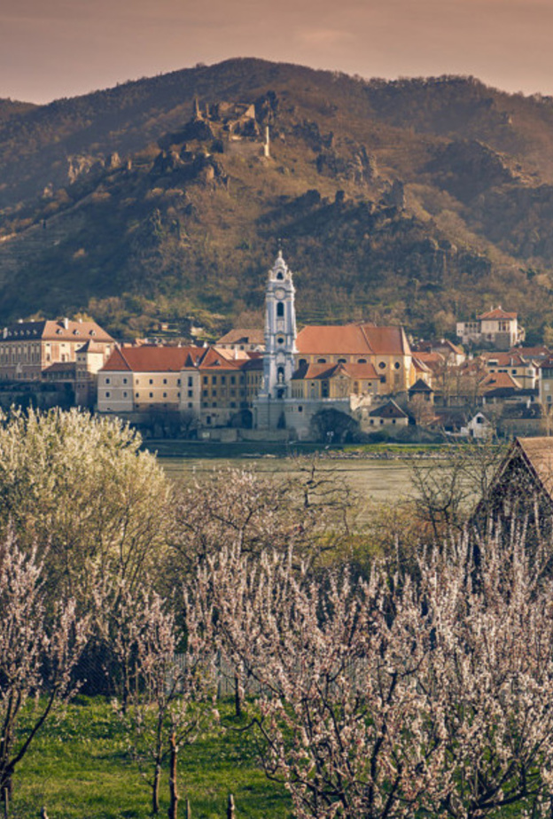 اكتشفوا ثقافة وطبيعة النمسا الخلابة مع الجولات الإفتراضية