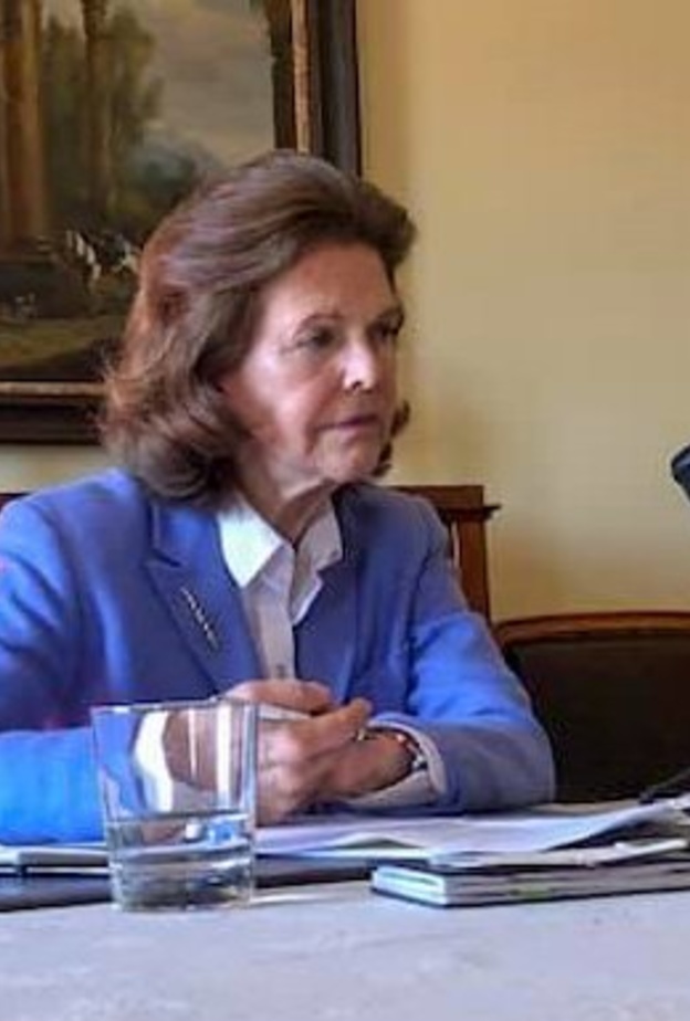 ملكة السويد في اجتماع عبر الإنترنت مع ممثلي مؤسسات لحقوق الأطفال