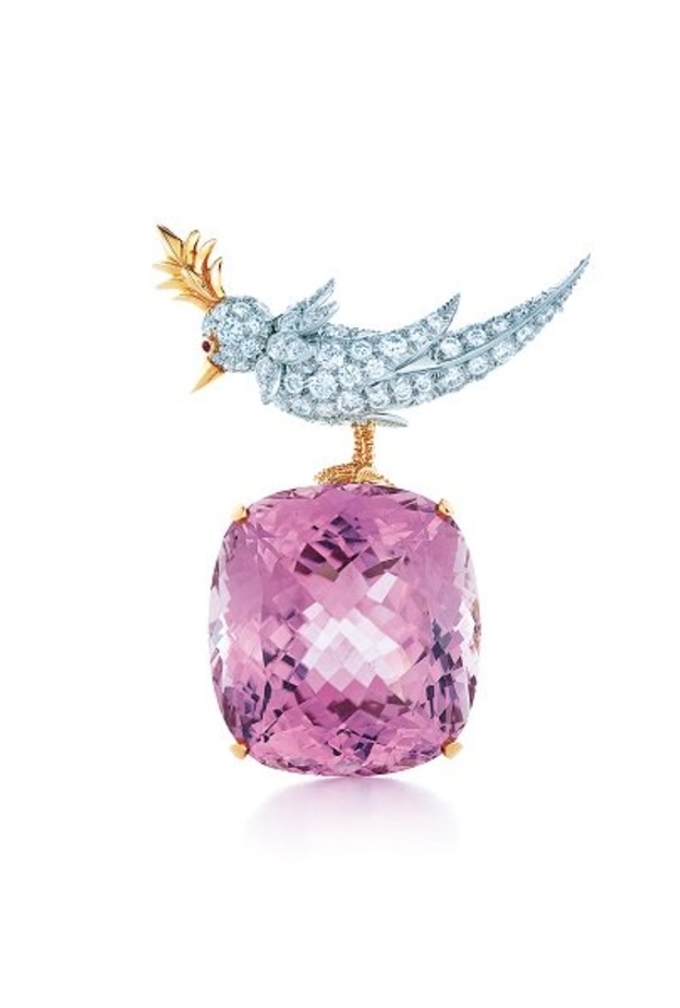 بروش مميز مع حجر كونزيت