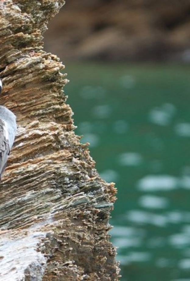  في جزيرة موتوارا