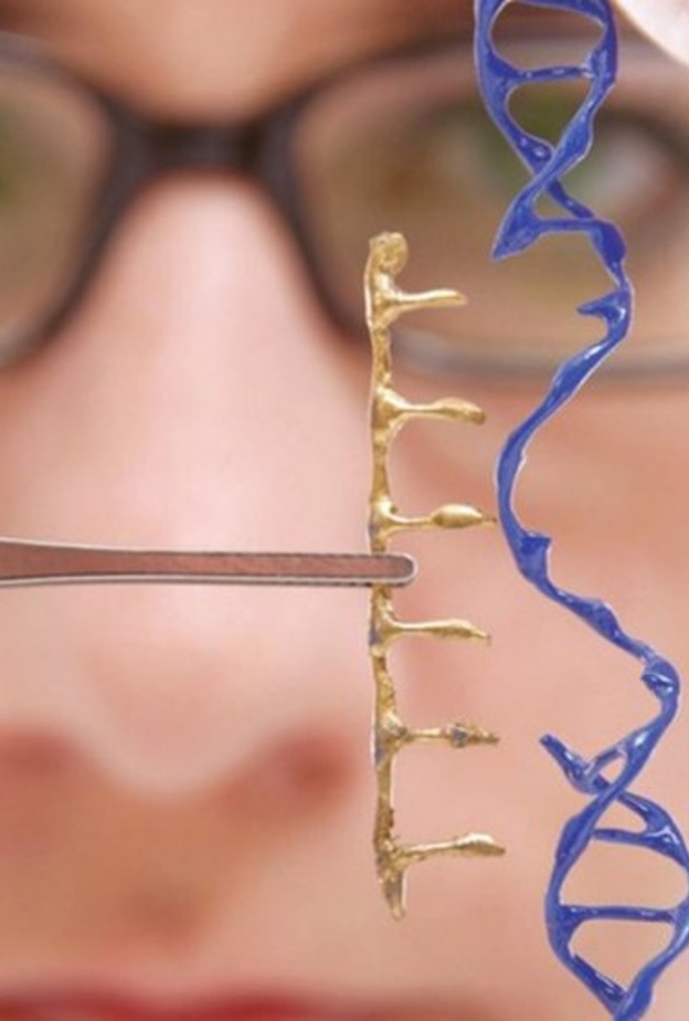  الإمارات تطور علاج لفيروس كورونا بالخلايا الجذعية