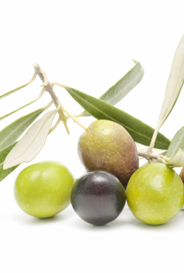  فوائد أوراق الزيتون لإنقاص الوزن