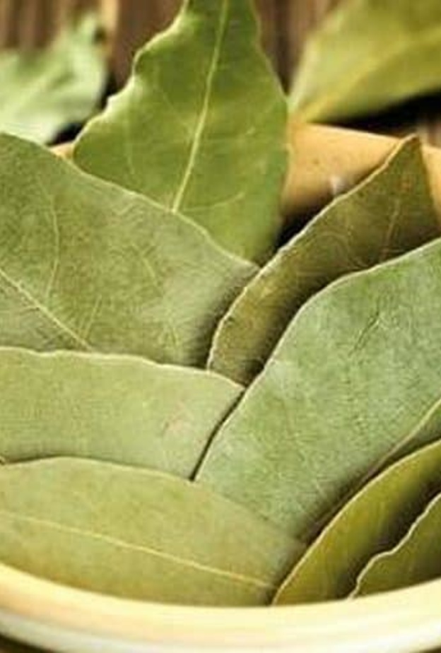  فوائد ورق الغار للصحة