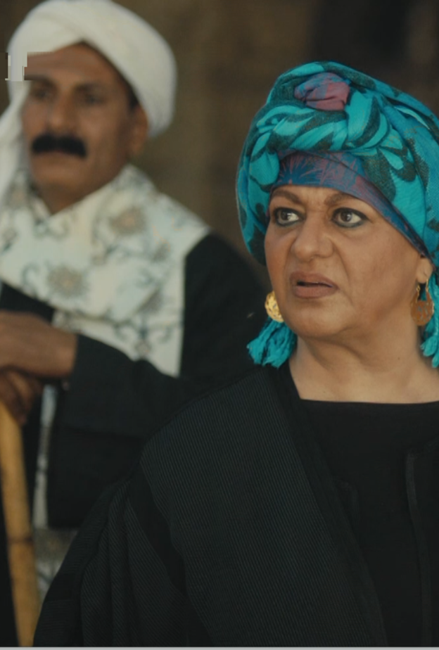 فريدة سيف النصر