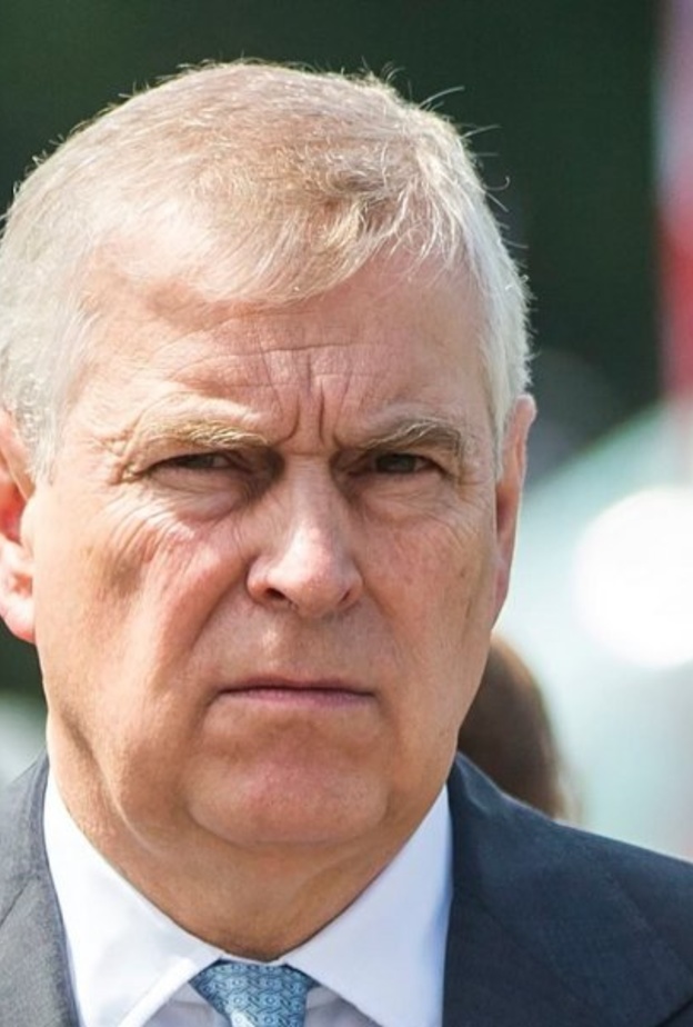  مؤسسة الأمير أندرو الخيرية تخضع للتحقيق لهذا السبب