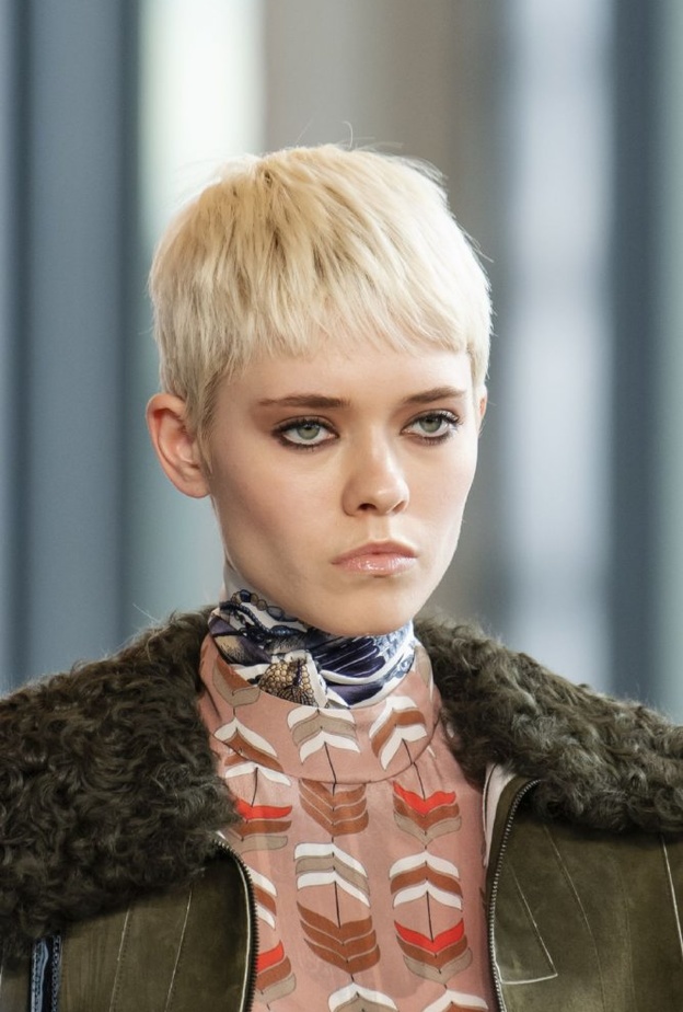 الوان صبغات الشعر الاشقر البلاتيني من Longchamp