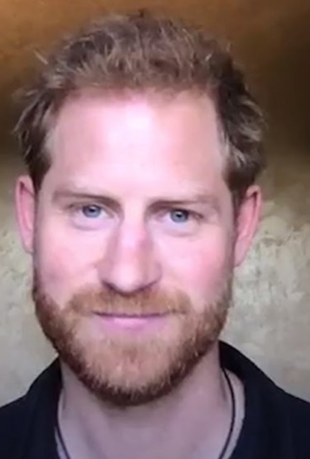  الأمير هاري يقوم بظهور غير متوقع على قناة بي بي سي