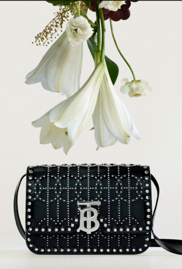 حقيبة TB من بربري