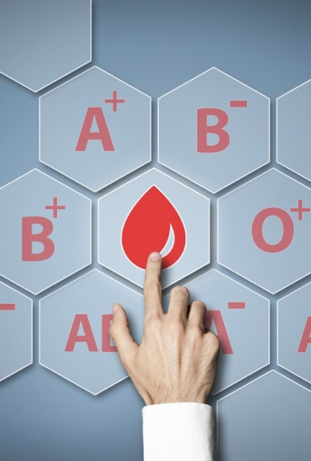 افضل الانظمة الغذائية و الرجيم الذي يناسب فصيلة الدم بي