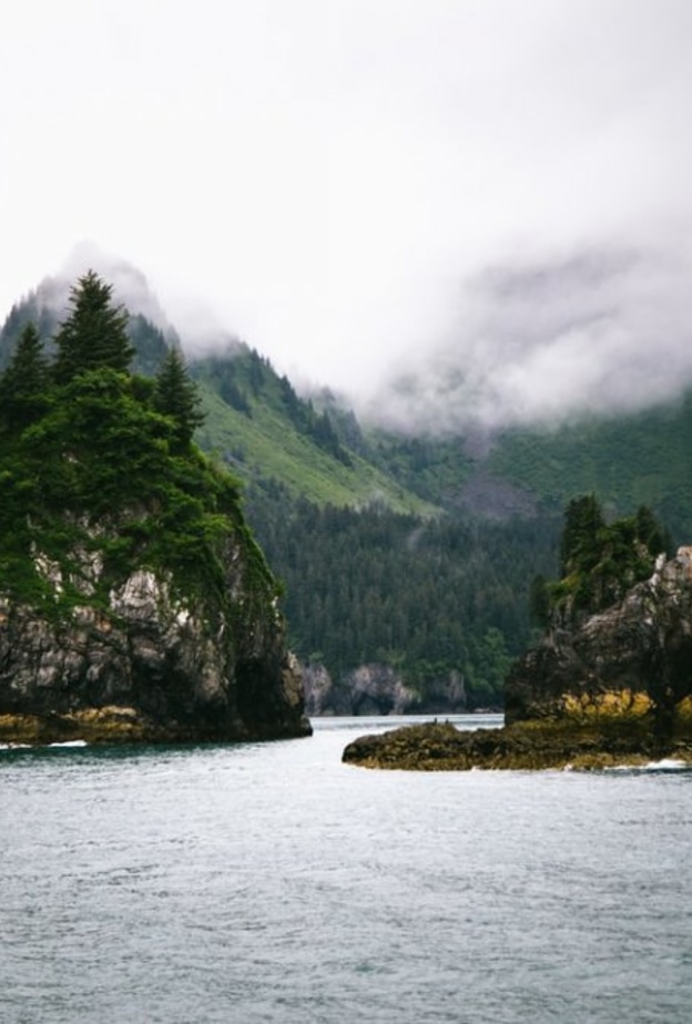 مضايق كيناي Kenai Fjords، الولايات المتحدة الأمريكية بواسطة Daniel H. Tong