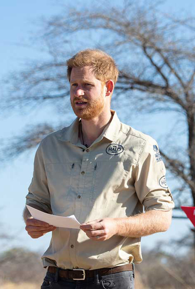 مؤسسة Halo Trust الخيرية فيها 8.500 موظف