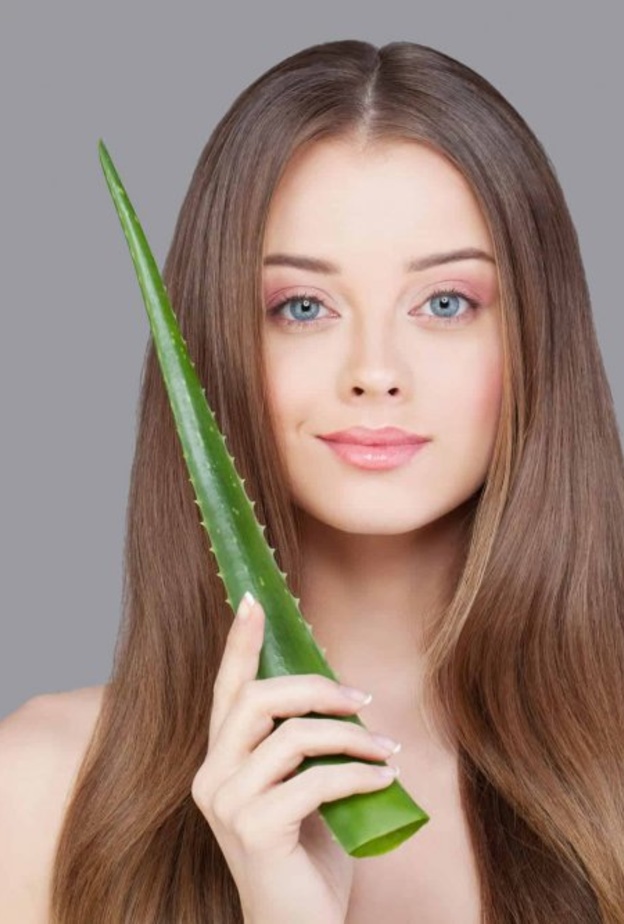  يحتوي الالوفيرا على مجموعة من الأحماض الأمينيّة التي تعطي الشعر البروتينات لنموّه وتنعيم الشعر