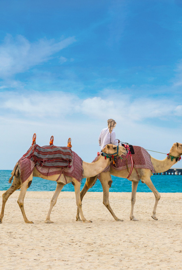 افضل 5 مدن متعددة الثقافات في العالم