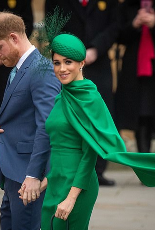  الأمير هاري وزوجته لم ينجحا بعد في تأمين مصدر ثابت للدخل